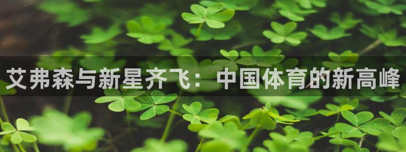 摩登7平台官网入口：艾弗森与新星齐飞：中国体育的新高峰