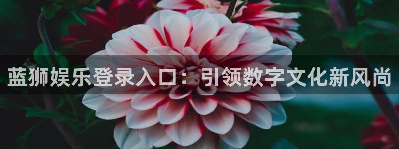 摩登7强制退款流程详解：蓝狮娱乐登录入口：引领数字文化新风尚
