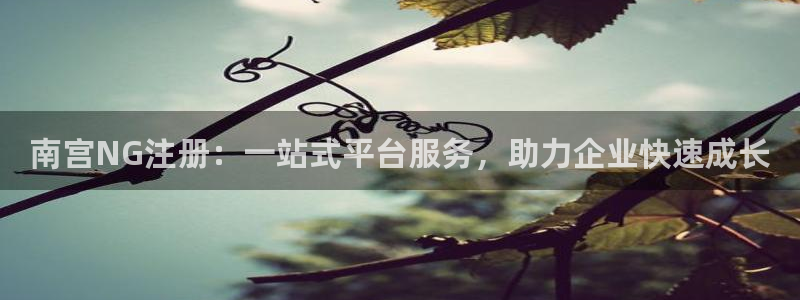 摩登7注册链接：南宫NG注册：一站式平台服务，助力企业快速成长