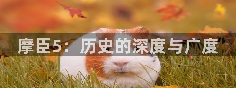 摩登7注册：摩臣5：历史的深度与广度