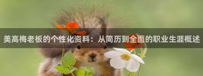 摩登7能退款吗