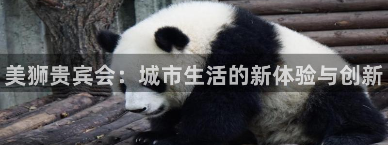 摩登7vip麻将胡了