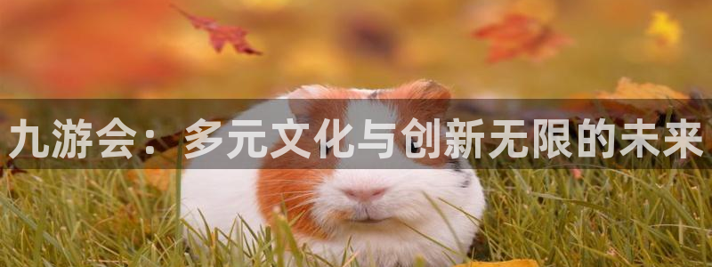 摩登7平台官网版最新
