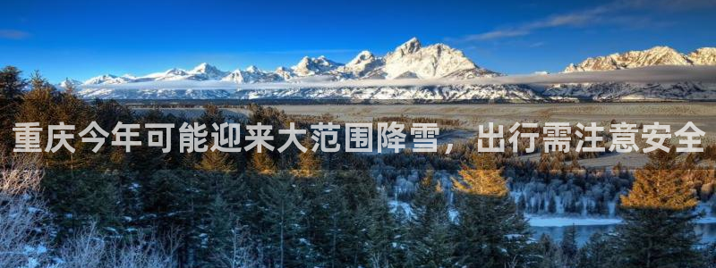 摩登7官方app下载安装