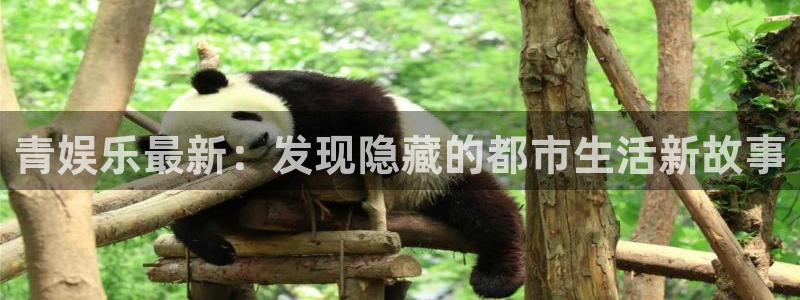 摩登7app入口