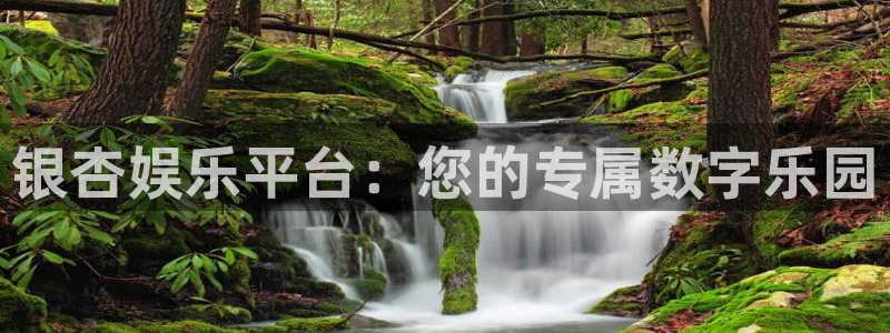 摩登7电子游戏：银杏娱乐平台：您的专属数字乐园