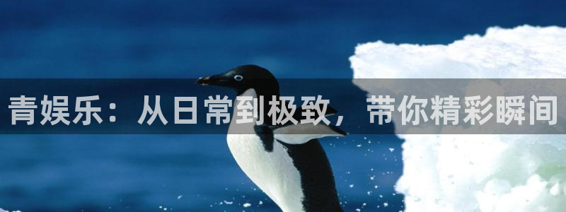 南宫摩登7官网版：青娱乐：从日常到极致，带你精彩瞬间