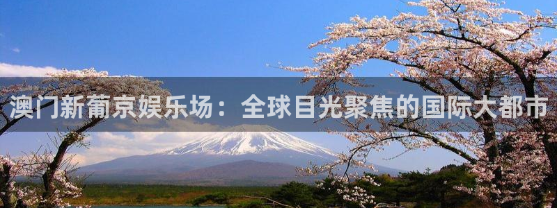 摩登7是什么：澳门新葡京娱乐场：全球目光聚焦的国际大都市