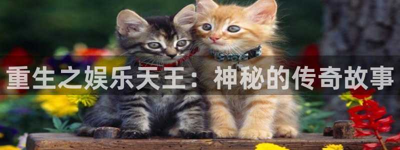 壹号官方app下载安装：重生之娱乐天王：神秘的传奇故事