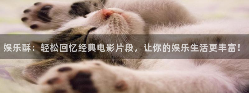 摩登7平台管网入口：娱乐酥：轻松回忆经典电影片段，让你的娱乐生活更丰富！