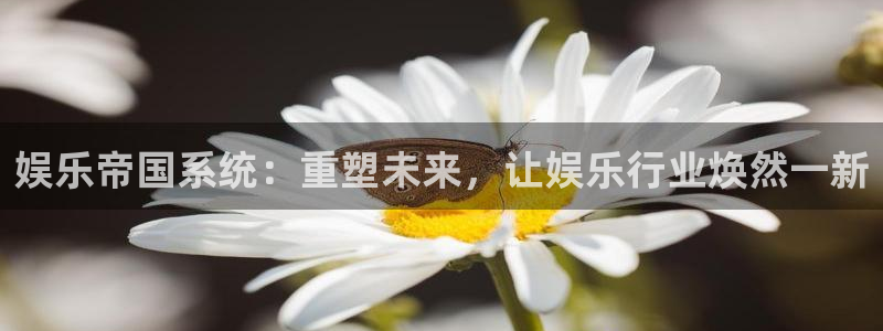 壹号电子娱乐app下载最新版：娱乐帝国系统：重塑未来，让娱乐行业焕然一新