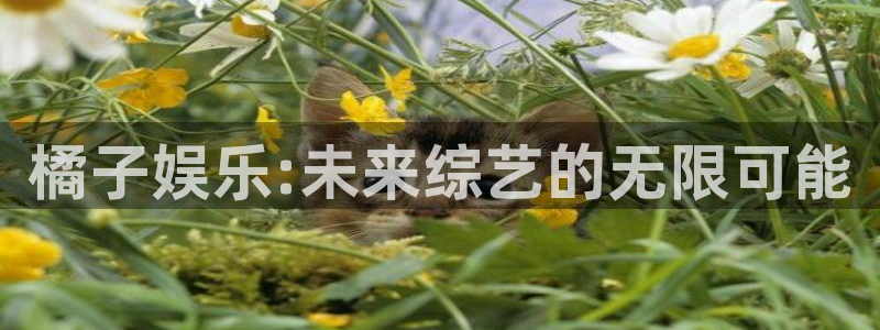 摩登7游戏：橘子娱乐:未来综艺的无限可能