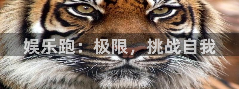 壹号玩家app下载：娱乐跑：极限，挑战自我