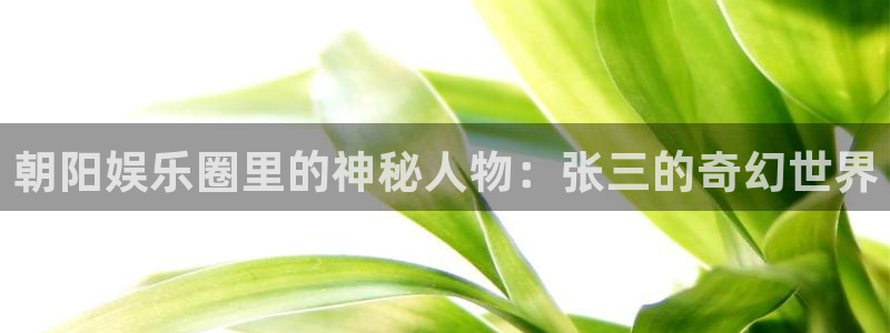 摩登7软件：朝阳娱乐圈里的神秘人物：张三的奇幻世界