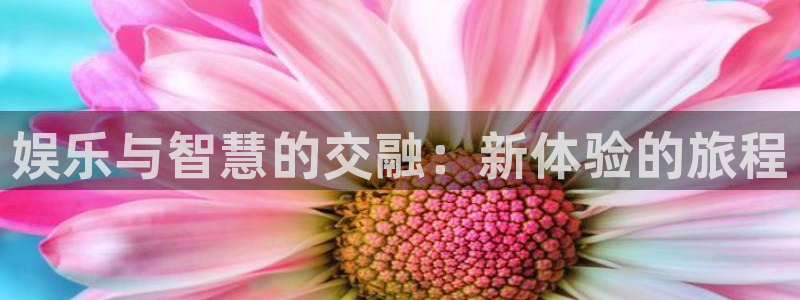 摩登7ccmpc麻将胡了：娱乐与智慧的交融：新体验的旅程