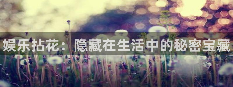 摩登7网页版登：娱乐拈花：隐藏在生活中的秘密宝藏