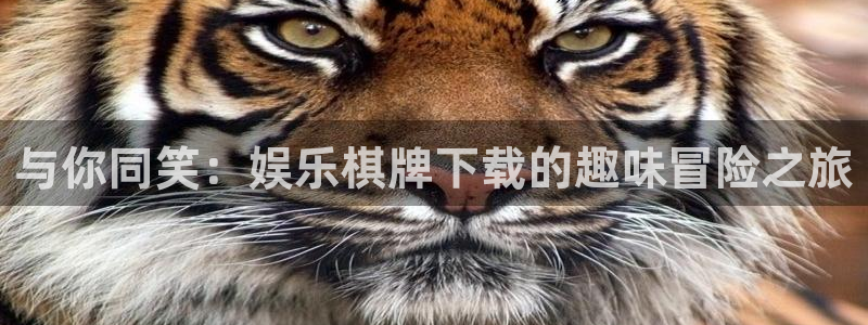 摩登7游戏：与你同笑：娱乐棋牌下载的趣味冒险之旅
