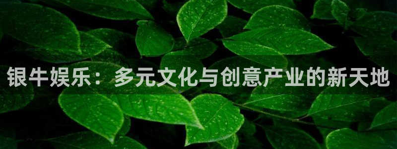 摩登7怎么下载：银牛娱乐：多元文化与创意产业的新天地