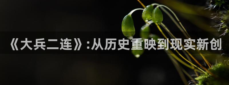 摩登7是啥：《大兵二连》:从历史重映到现实新创