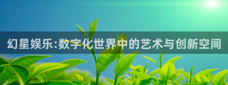 摩登7平台管网入口：幻星娱乐:数字化世界中的艺术与创新空间