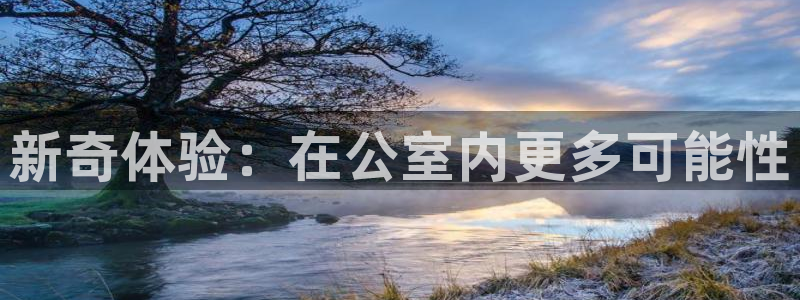 摩登7是正规平台吗