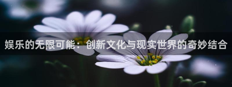壹号大舞台下载链接