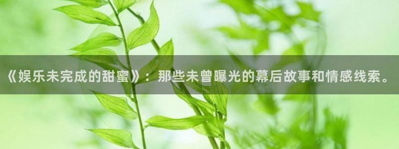 摩登7是大平台吗